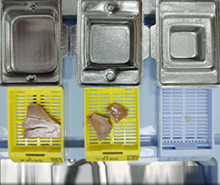 조직 크기에 맞는 mold 선정 사진