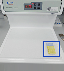 Paraffin block 냉각 사진